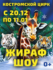 &ZHcy;&icy;&rcy;&acy;&fcy; &shcy;&ocy;&ucy;