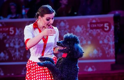 &Ncy;&ocy;&scy;&ocy;&rcy;&ocy;&gcy;-&shcy;&ocy;&ucy;