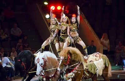 &Ncy;&ocy;&scy;&ocy;&rcy;&ocy;&gcy;-&shcy;&ocy;&ucy;