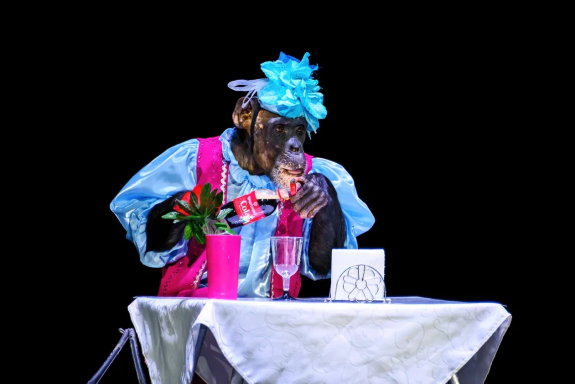 &TScy;&icy;&rcy;&kcy; &ncy;&acy; &vcy;&ocy;&dcy;&iecy; &laquo;&TScy;&acy;&rcy;&scy;&tcy;&vcy;&ocy; &fcy;&ocy;&ncy;&tcy;&acy;&ncy;&ocy;&vcy;&raquo;